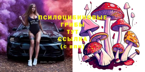 МДПВ Балахна