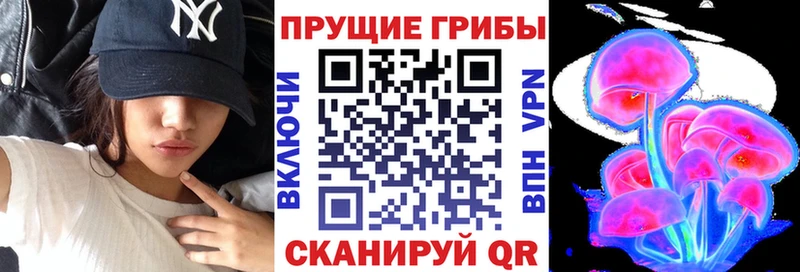 Псилоцибиновые грибы мицелий  закладки  Лесозаводск 